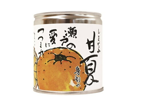 JAN 4571258122500 ビーマック 甘夏缶詰 295g BEMAC株式会社 食品 画像