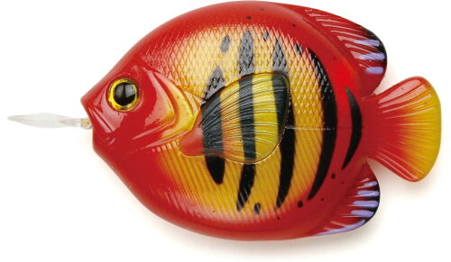 JAN 4571287540412 キャップス FISH MEASURE フィッシュメジャー FLAME ANGELFISH 株式会社グローバルフォルムコンクリート 日用品雑貨・文房具・手芸 画像