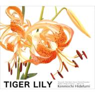 JAN 4571386450032 TIGER　LILY/ＣＤ/UPRC-004 アンプライベート株式会社 CD・DVD 画像