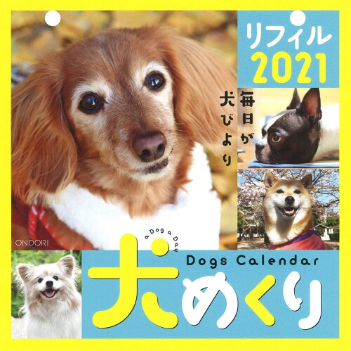 JAN 4573330470318 シーオーツー 犬めくり 2021年 カレンダー リフィル 日めくり CK-D21-02 株式会社シーオーツー 本・雑誌・コミック 画像