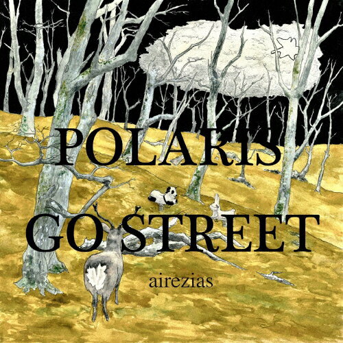 JAN 4580046950010 POLARIS GO STREET/CD/PGS-1001 アイレジアス CD・DVD 画像