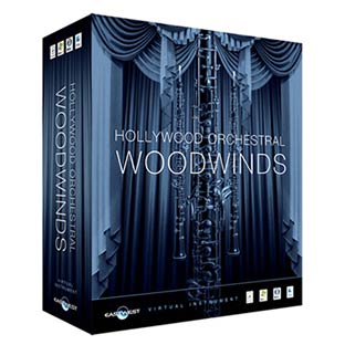 JAN 4580101324039 ハイ・リゾリューション HOLLYWOOD ORCHESTRAL WW GOLD 株式会社ハイ・リゾリューション 楽器・音響機器 画像