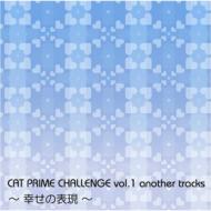 JAN 4580121940370 ～幸せの表現～　another　tracks/ＣＤシングル（１２ｃｍ）/VRCSJ-1037 CD・DVD 画像