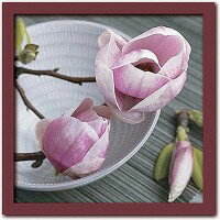 JAN 4580233082722 Art Collection Catherine BEYLER　Magnolias on a bowl PR-1012 有限会社K-Art.Japan インテリア・寝具・収納 画像