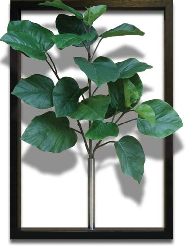 JAN 4580233119251 Ficus Embellate《ITN-11925》F-STYLE/Tuinie《額付》 有限会社K-Art.Japan インテリア・寝具・収納 画像