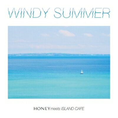 JAN 4580278266132 Tokimeki Records / ひかり / WINDY SUMMER 7インチシングルレコード 株式会社インセンスミュージックワークス CD・DVD 画像