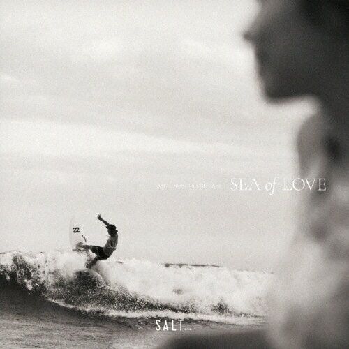 JAN 4580278266859 SALT．．． meets ISLAND CAFE -Sea of Love-/CD/IMWCD-1612 株式会社インセンスミュージックワークス CD・DVD 画像