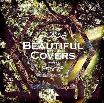 JAN 4580282026418 BEAUTIFUL COVERS－ジブリ・ソングス－ / オムニバス 株式会社エストゥエス CD・DVD 画像