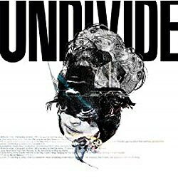 JAN 4580300412599 UNDIVIDE/CD/BMCD-015 株式会社ジャパンミュージックシステム CD・DVD 画像