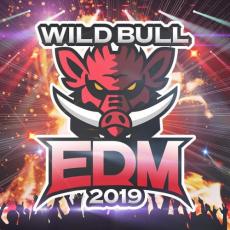 JAN 4580383411397 Wild Bull EDM 2019 株式会社スターミュージック・エンタテインメント CD・DVD 画像