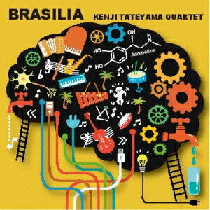 JAN 4580544090201 Brasilia/CD/DBOP-020 株式会社日本リサーチサービス CD・DVD 画像