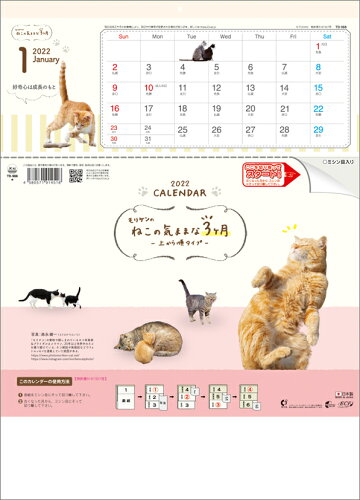 JAN 4580571914518 トーダン 壁掛けカレンダー 2022年 ねこの気ままな3ヶ月 上から順タイプ 株式会社トーダン 本・雑誌・コミック 画像