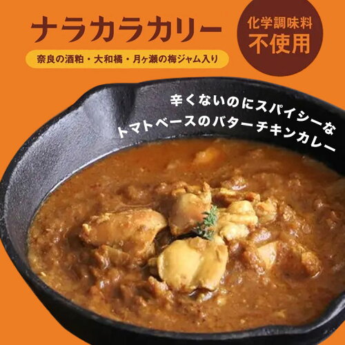 JAN 4580709070048 奈良の酒粕大和橘月ケ瀬の梅入りマイルドチキンカリー * 食品 画像