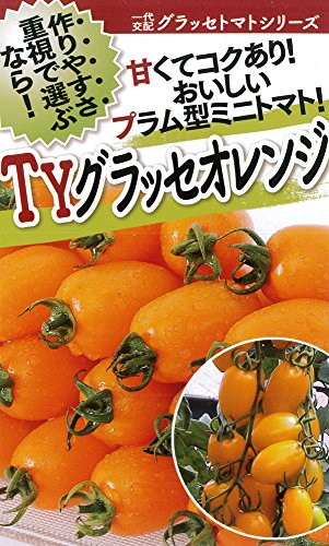 JAN 4582118031900 フタバ種苗  一代交配  トマト グラッセ オレンジ  種・小袋詰    有限会社フタバ種苗卸部 花・ガーデン・DIY 画像