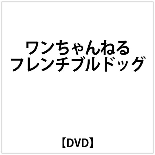 JAN 4582154108994 ワンちゃんねる　フレンチブルドッグ/ＤＶＤ/INKO-0007 株式会社オルスタックピクチャーズ CD・DVD 画像