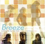 JAN 4582162070023 Looking for my true love / Breeze CD・DVD 画像