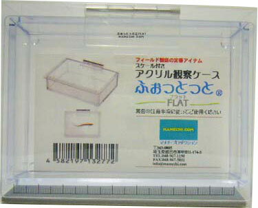 JAN 4582197132772 マメチ 観察ケース ふぉっとっとフラット 1個 マメチ・プロダクション スポーツ・アウトドア 画像