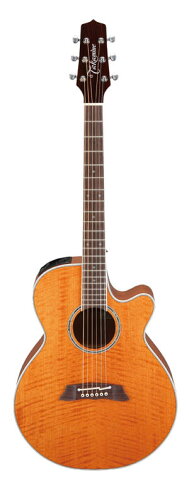 JAN 4582270002831 Takamine / タカミネ PTU121C VN エレアコギター （100シリーズ) 株式会社高峰楽器製作所 楽器・音響機器 画像