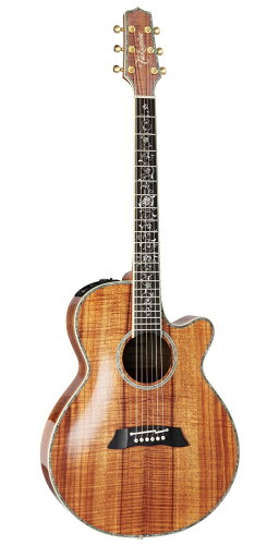 JAN 4582270004255 Takamine DMP100K N タカミネ エレクトリック アコースティックギター エレアコ 株式会社高峰楽器製作所 楽器・音響機器 画像