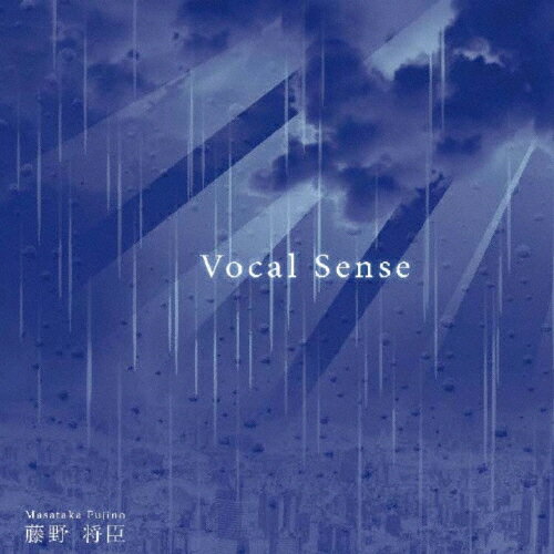 JAN 4582401110459 Vocal Sense/CD/VMCD-10027 有限会社ローノーツ CD・DVD 画像