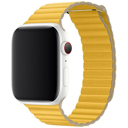 JAN 4582545655830 アイキューラボ｜iQ Labo AppleWatch 40mm/38mm用 マグネットホールドバンド 通し穴あり イエロー IQAWLMGH40YE 株式会社アイキューラボ 腕時計 画像