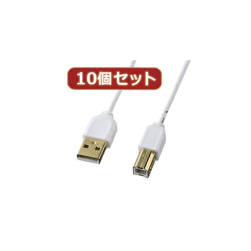 JAN 4589452972944 サンワサプライ 極細USBケーブルUSB2.0A-Bタイプ KU20-SL20WX10 株式会社アッシー パソコン・周辺機器 画像