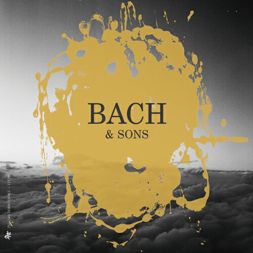 JAN 4589538717599 Bach, Johann Sebastian バッハ / バッハと息子たちの作品集 アマンディーヌ・ベイエ、グイド・バレストラッチ、キアラ・バンキーニ、ブランディーヌ・ランヌー、他 7CD 輸入盤 ナクソス・ジャパン株式会社 CD・DVD 画像