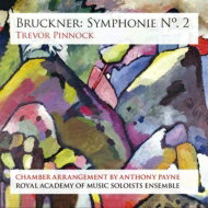 JAN 4589538727888 Bruckner ブルックナー / ブルックナー：交響曲第2番 ペイン編曲室内楽版 、J．シュトラウス2世：酒、女、歌 ピノック＆ロイヤル・アカデミー・オブ・ミュージック・ソロイスツ・アンサンブル 輸入盤 ナクソス・ジャパン株式会社 CD・DVD 画像