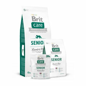 JAN 4589567250418 britケア ラム&ライス シニア   britcare / ブリットケア 株式会社レシアン ペット・ペットグッズ 画像