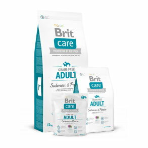 JAN 4589567250555 britケア グレインフリー サーモン&ポテト アダルト   britcare / ブリットケア 株式会社レシアン ペット・ペットグッズ 画像