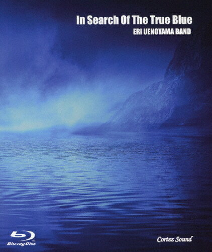 JAN 4589650550098 In　Search　Of　True　Blue/Ｂｌｕ−ｒａｙ　Ｄｉｓｃ/CSB-0001 コルテスサウンド CD・DVD 画像