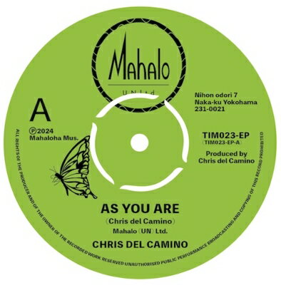 JAN 4589909688510 Beek Chris Del Camino / As You Are / Butterfly Monarch 7インチシングルレコード エリアコード株式会社 CD・DVD 画像