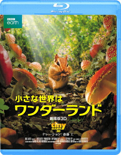 JAN 4589921406161 小さな世界はワンダーランド／劇場版3D/Ｂｌｕ－ｒａｙ　Ｄｉｓｃ/GABSX-1616 ギャガ株式会社 CD・DVD 画像