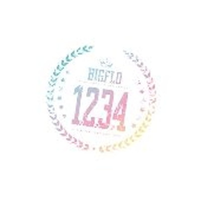 JAN 4589994600480 1，2，3，4 初回限定盤 / BIGFLO 株式会社キッス・エンタテインメント CD・DVD 画像