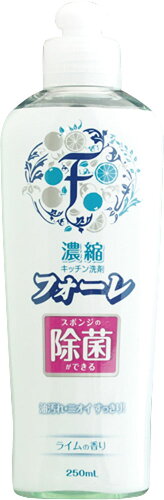 JAN 4901329271514 フォーレ除菌 250ml カネヨ石鹸株式会社 日用品雑貨・文房具・手芸 画像