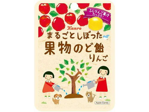 JAN 4901351041789 カンロ まるごとしぼった果物のど飴りんご 26g カンロ株式会社 スイーツ・お菓子 画像