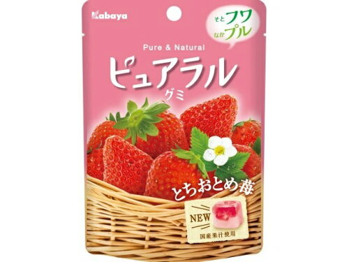 JAN 4901550269328 カバヤ食品 ピュアラルグミ とちおとめ苺 45g カバヤ食品株式会社 スイーツ・お菓子 画像