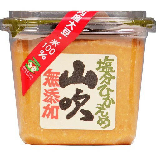 JAN 4901678132207 無添加塩分ひかえめ(500g) 信州味噌株式会社 食品 画像