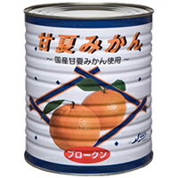 JAN 4901802091103 ストー 甘夏みかんブロークン 1号 3.1Kg ストー缶詰株式会社 食品 画像