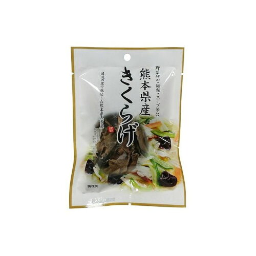 JAN 4902524222424 フジサワ 熊本県産きくらげ 10g 株式会社藤沢商事 食品 画像