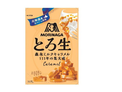 JAN 4902888270055 森永製菓 とろ生キャラメル 60g 森永製菓株式会社 スイーツ・お菓子 画像