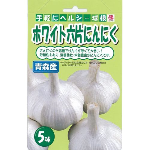 JAN 4903149490359 球根花の大和ホワイト6片にんにくお徳用 株式会社花の大和 花・ガーデン・DIY 画像