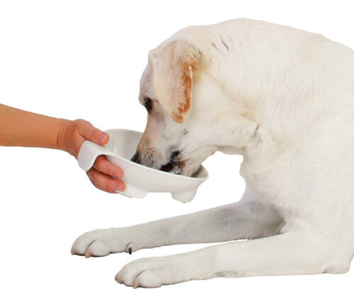 JAN 4903588224584 ペティオ 老犬介護用 持ち手付食器(大サイズ) 株式会社ペティオ ペット・ペットグッズ 画像