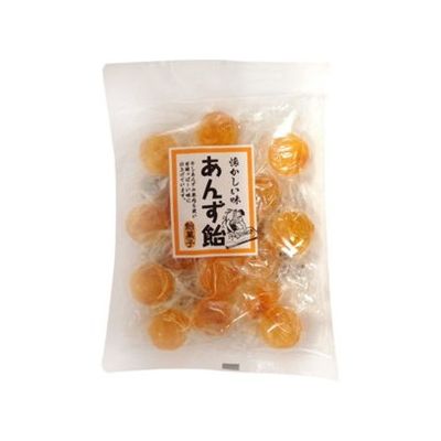 JAN 4904026070305 中島製菓 あんず飴 117g 有限会社中島製菓 スイーツ・お菓子 画像