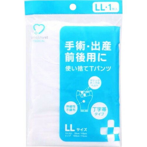 JAN 4904820603952 アメジスト 使い捨てTパンツ LL(1枚入) 大衛株式会社 医薬品・コンタクト・介護 画像