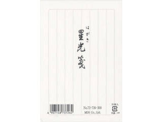 JAN 4907148737262 MDS はがき箋 縦罫 星光箋 73-726 株式会社エムディーエス 日用品雑貨・文房具・手芸 画像