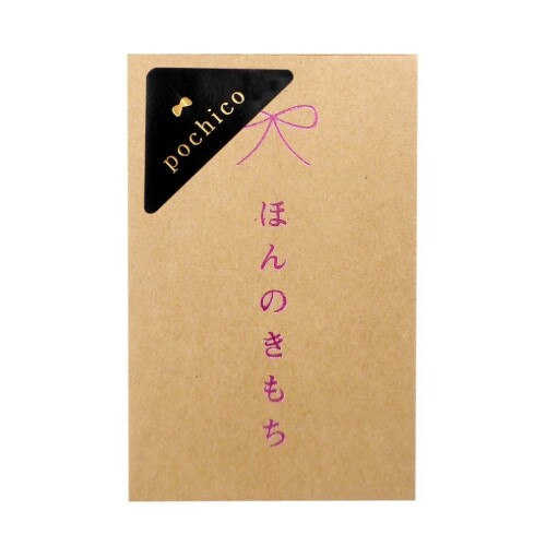 JAN 4907756055109 FUN ポチ袋 pochico クラフト PO-C05-2P ほんのきもち エヒメ紙工株式会社 日用品雑貨・文房具・手芸 画像