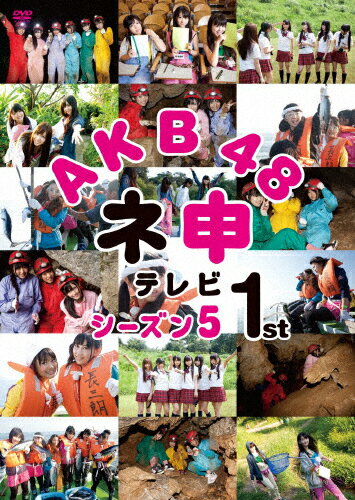 JAN 4907953047143 AKB48 ネ申テレビ シーズン5 1st 邦画 50DRT-80147 株式会社ハピネット CD・DVD 画像