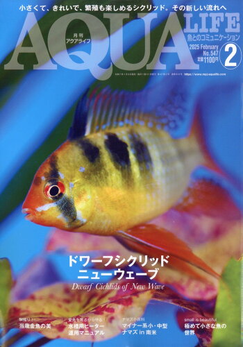 JAN 4910014550254 月刊 AQUA LIFE (アクアライフ) 2015年 02月号 雑誌 /エムピージェー 本・雑誌・コミック 画像