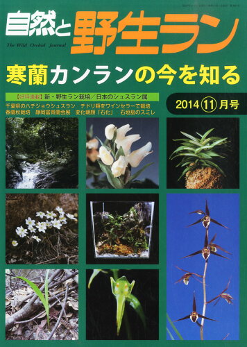 JAN 4910042951146 自然と野生ラン 2014年 11月号 雑誌 /エスプレス・メディア出版 本・雑誌・コミック 画像